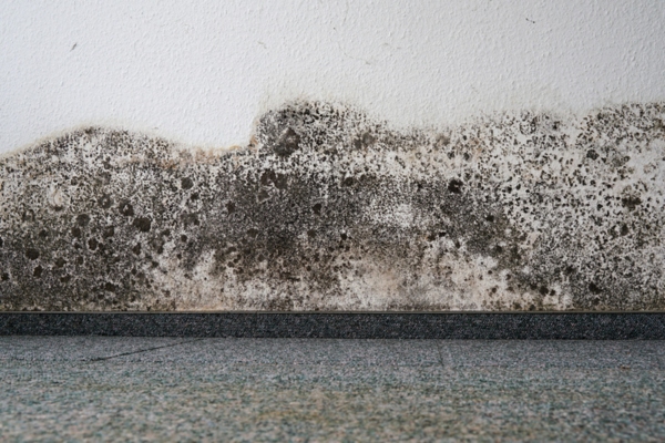 mold growth on walls depicting air conditioning mold