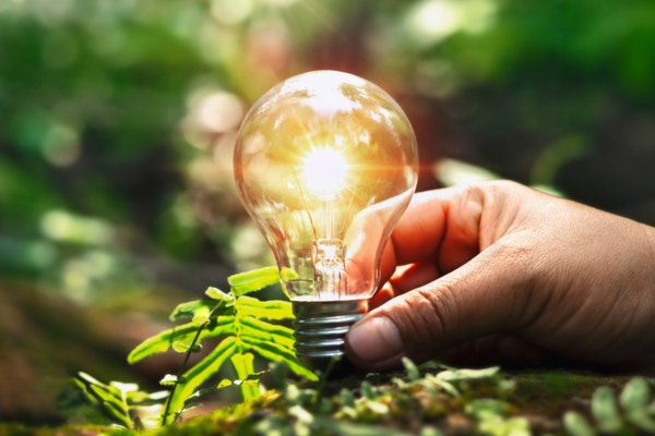 hand holding lightbulb by a plant depicting environmental impact