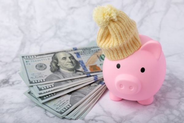 piggy bank on a beanie beside dollar bills depicting financial returns